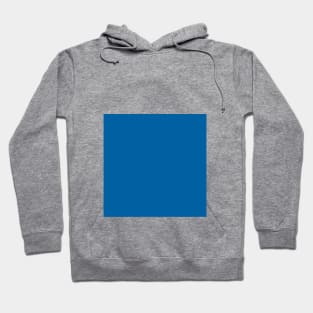 sky diver blue Hoodie